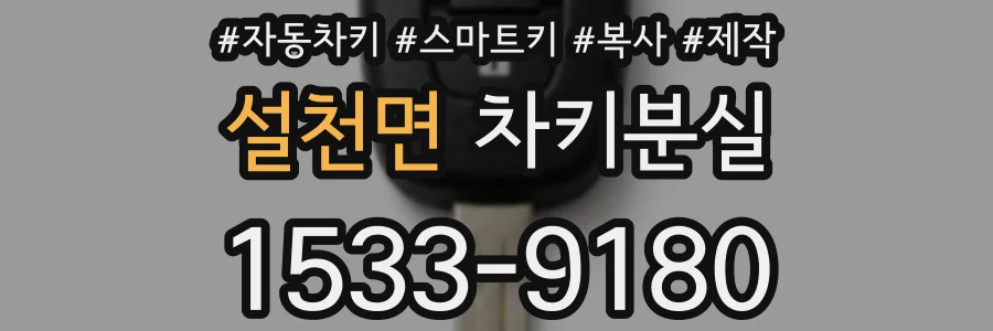 설천면 차키분실