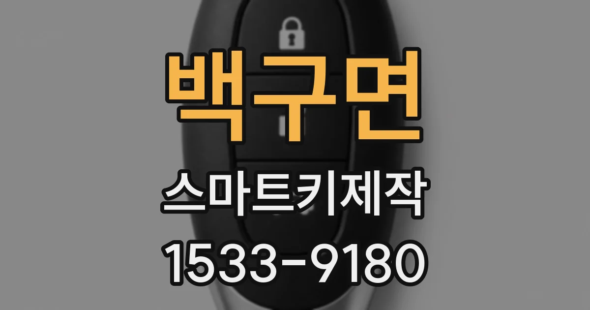 백구면 스마트키제작