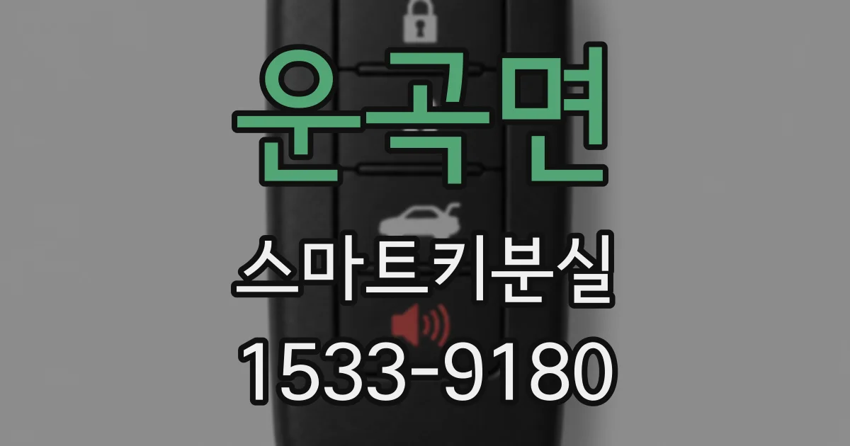 운곡면 스마트키분실