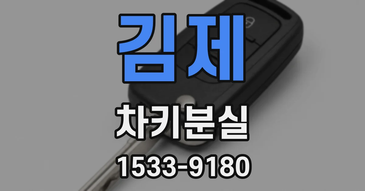 김제 차키분실