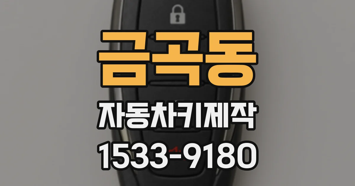 금곡동 자동차키제작