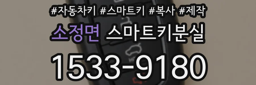 소정면 스마트키분실