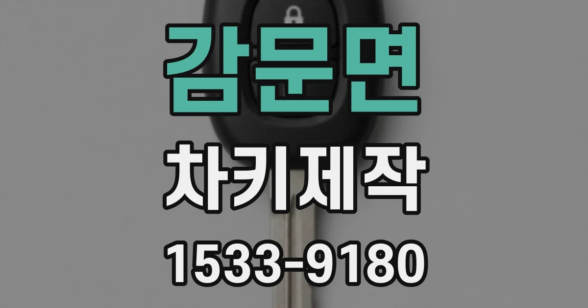 감문면 차키제작