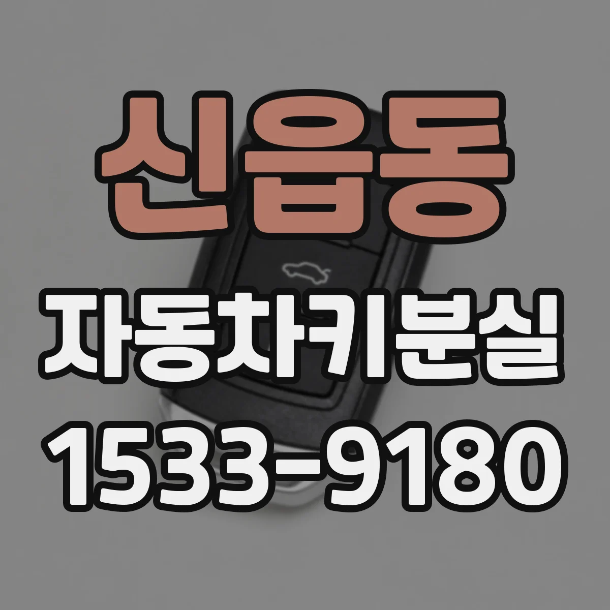신읍동 자동차키분실