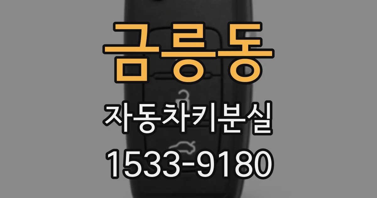 금릉동 자동차키분실