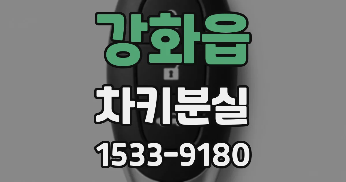 강화읍 차키분실