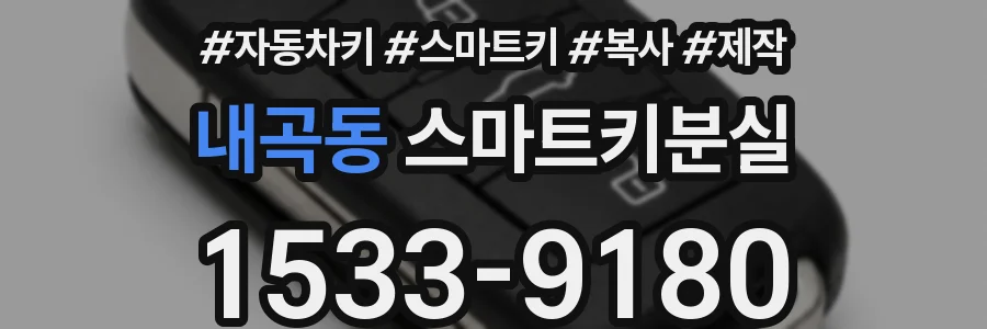 내곡동 스마트키분실