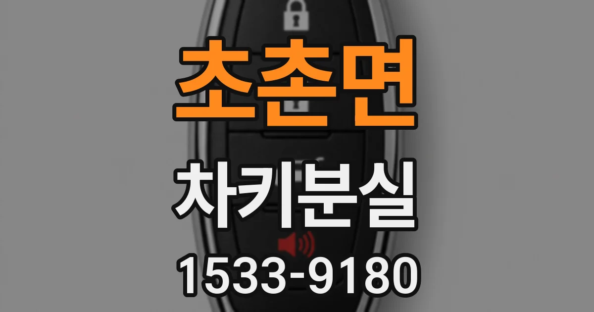 초촌면 차키분실