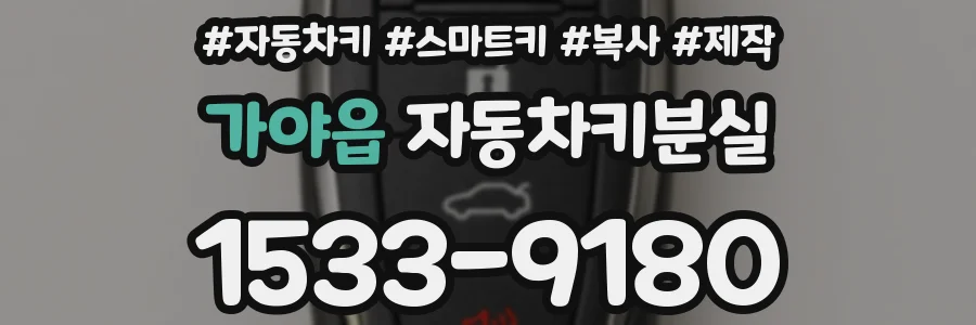 가야읍 자동차키분실