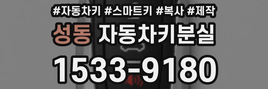 성동 자동차키분실