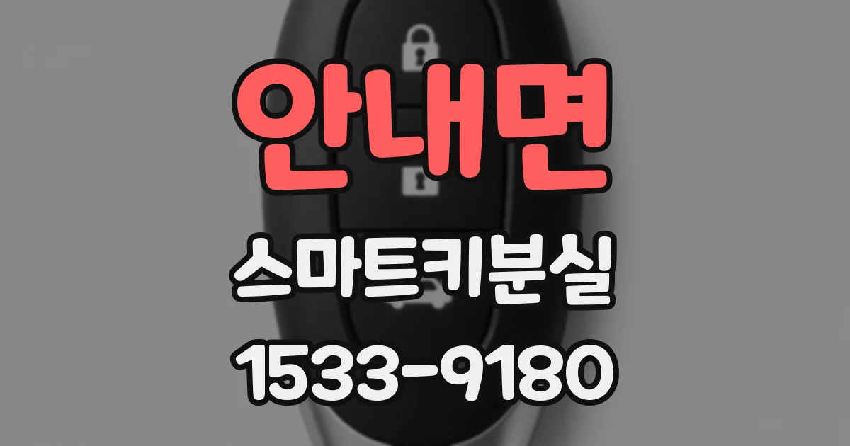 안내면 스마트키분실