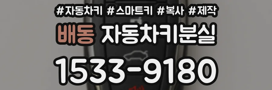 배동 자동차키분실