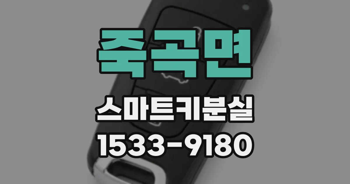 죽곡면 스마트키분실