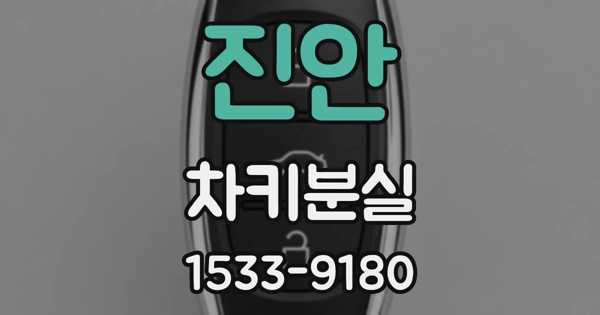 진안 차키분실