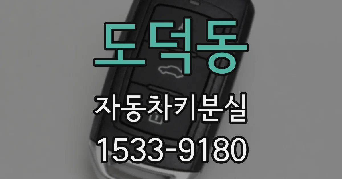 도덕동 자동차키분실