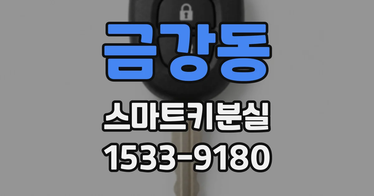 금강동 스마트키분실