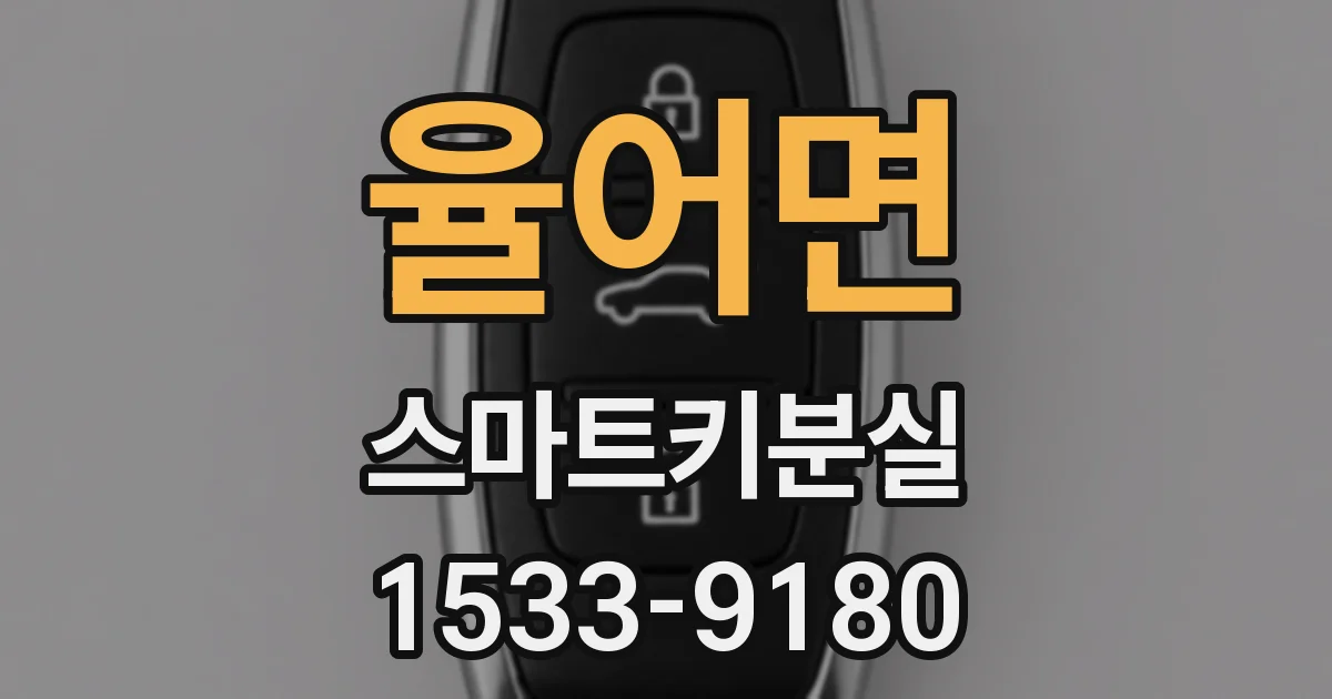 율어면 스마트키분실