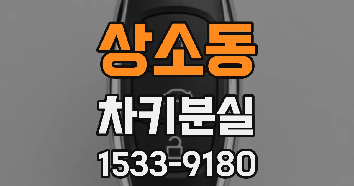 상소동 차키분실