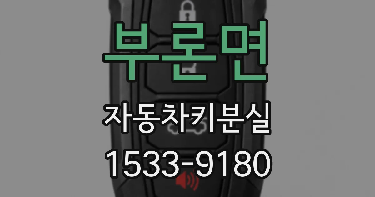 부론면 자동차키분실