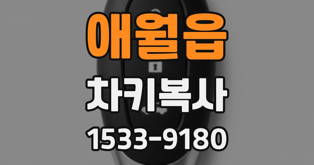 애월읍 차키복사