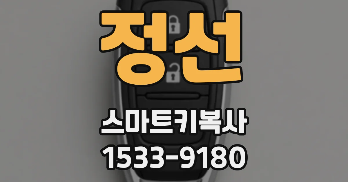 정선 스마트키복사