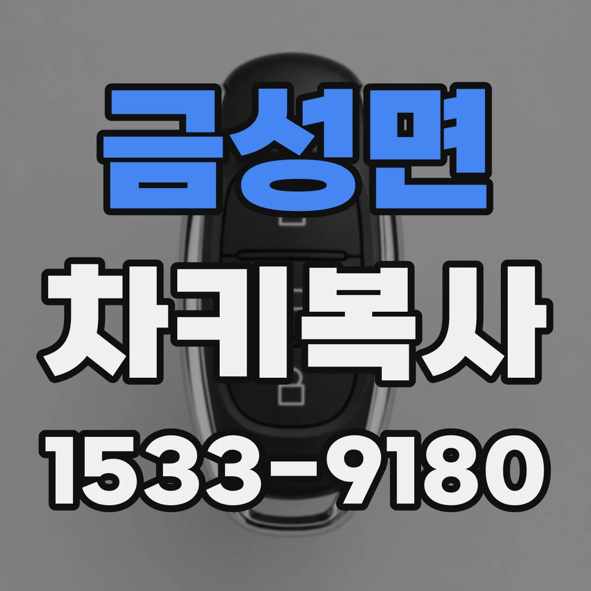 금성면 차키복사