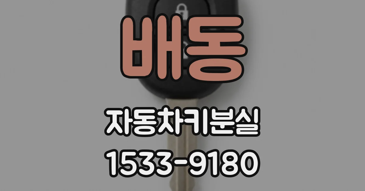 배동 자동차키분실