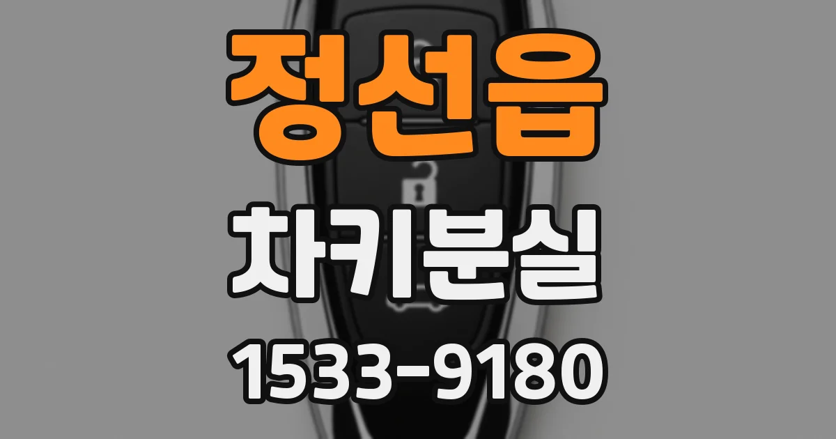 정선읍 차키분실