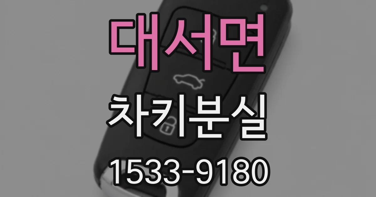 대서면 차키분실