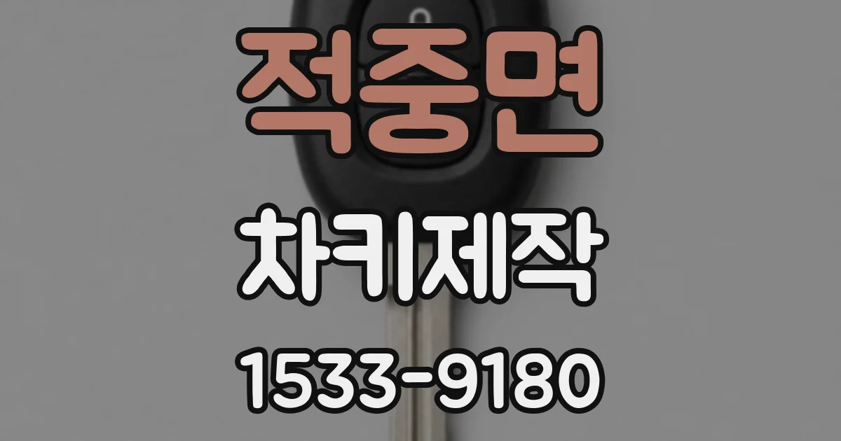 적중면 차키제작