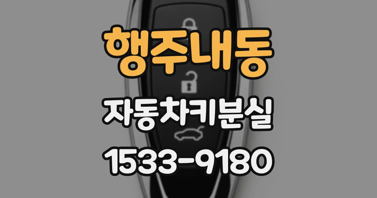 행주내동 자동차키분실