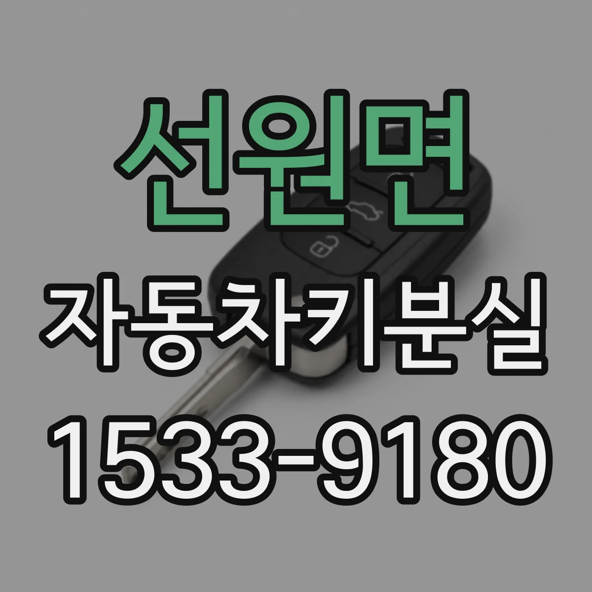 선원면 자동차키분실