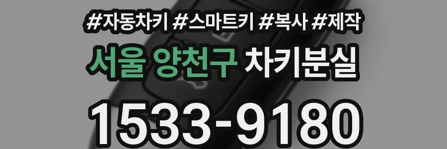 서울 양천구 차키분실