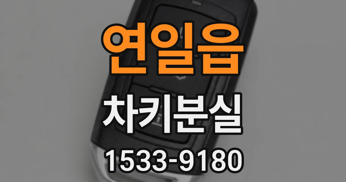 연일읍 차키분실