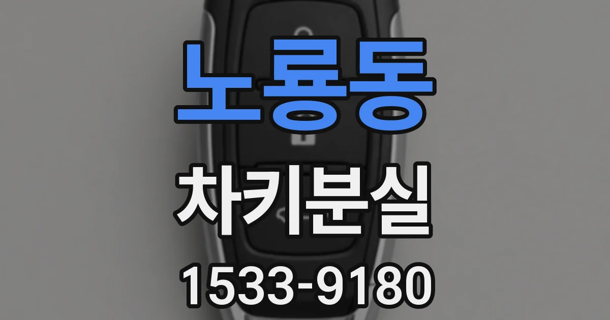 노룡동 차키분실