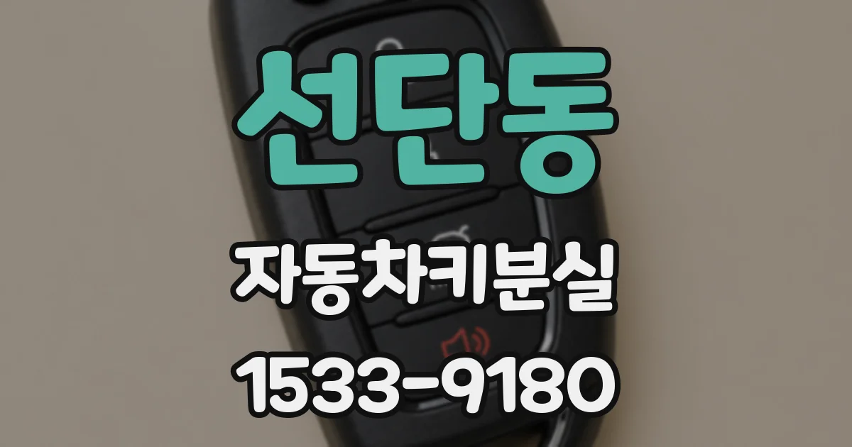 선단동 자동차키분실