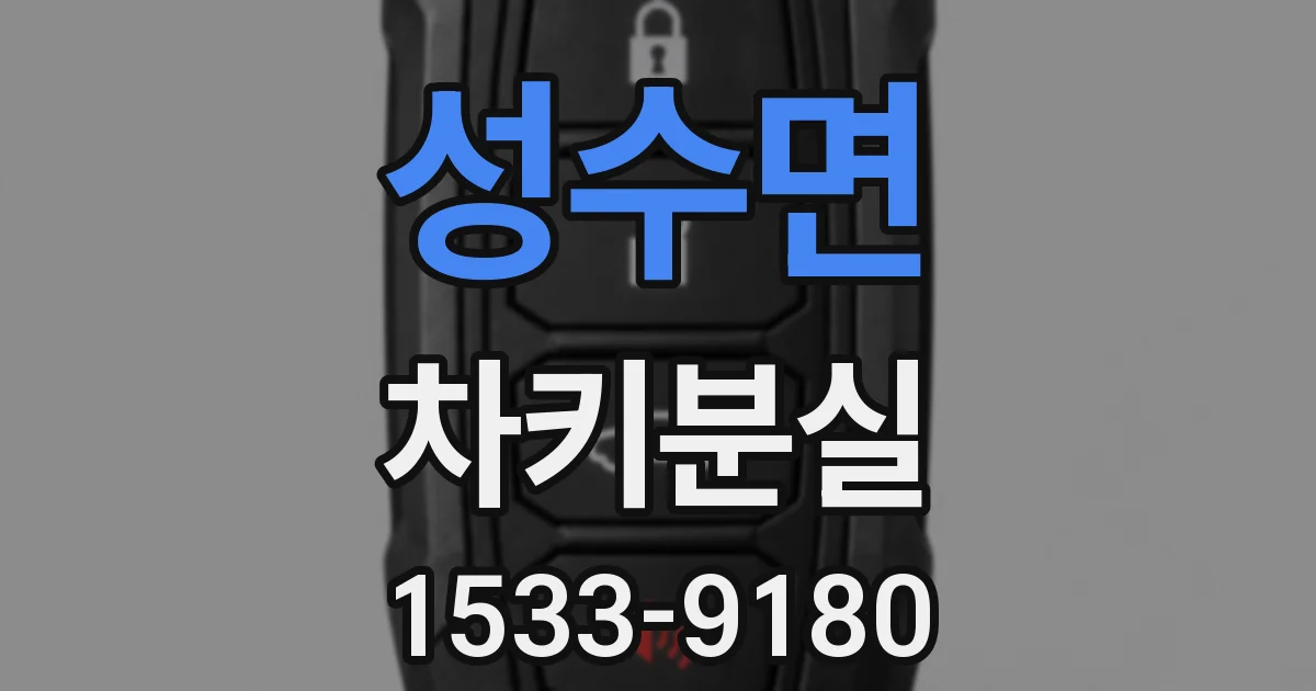 성수면 차키분실