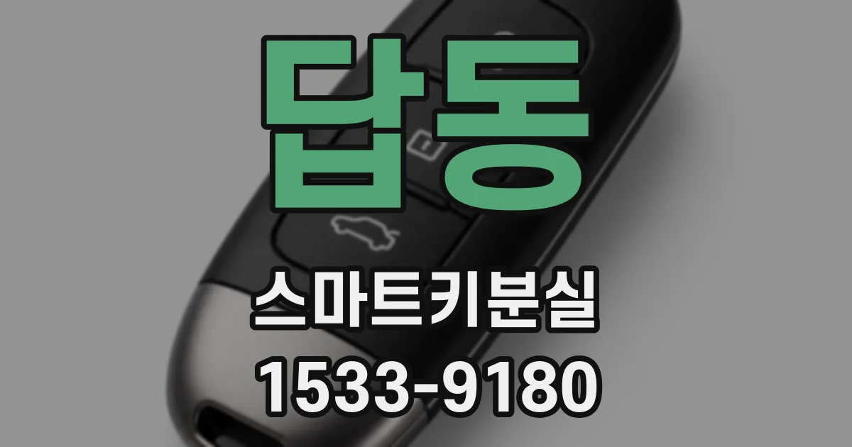 답동 스마트키분실
