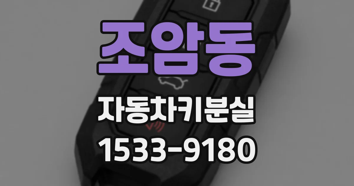 조암동 자동차키분실