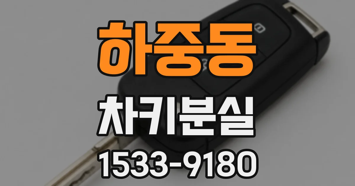 하중동 차키분실