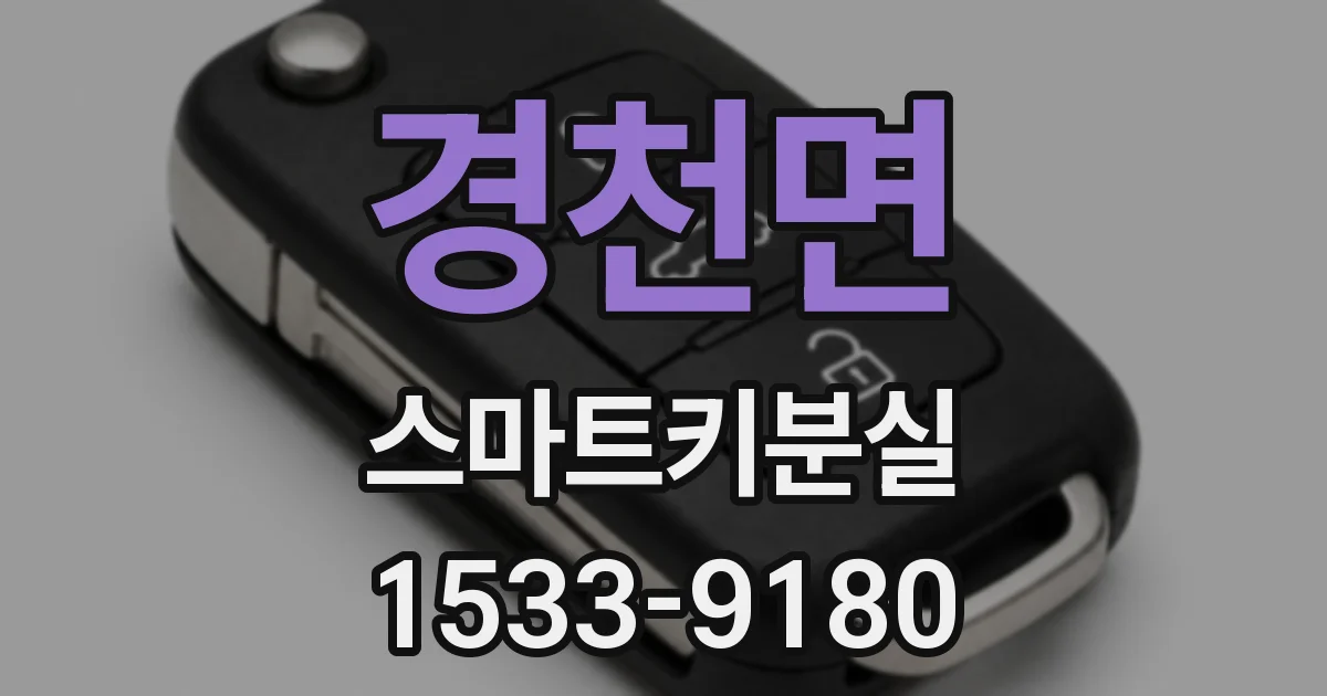 경천면 스마트키분실