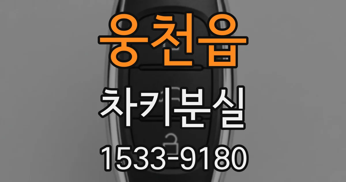 웅천읍 차키분실