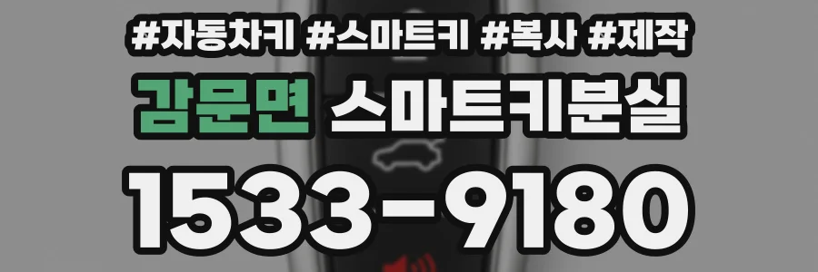 감문면 스마트키분실