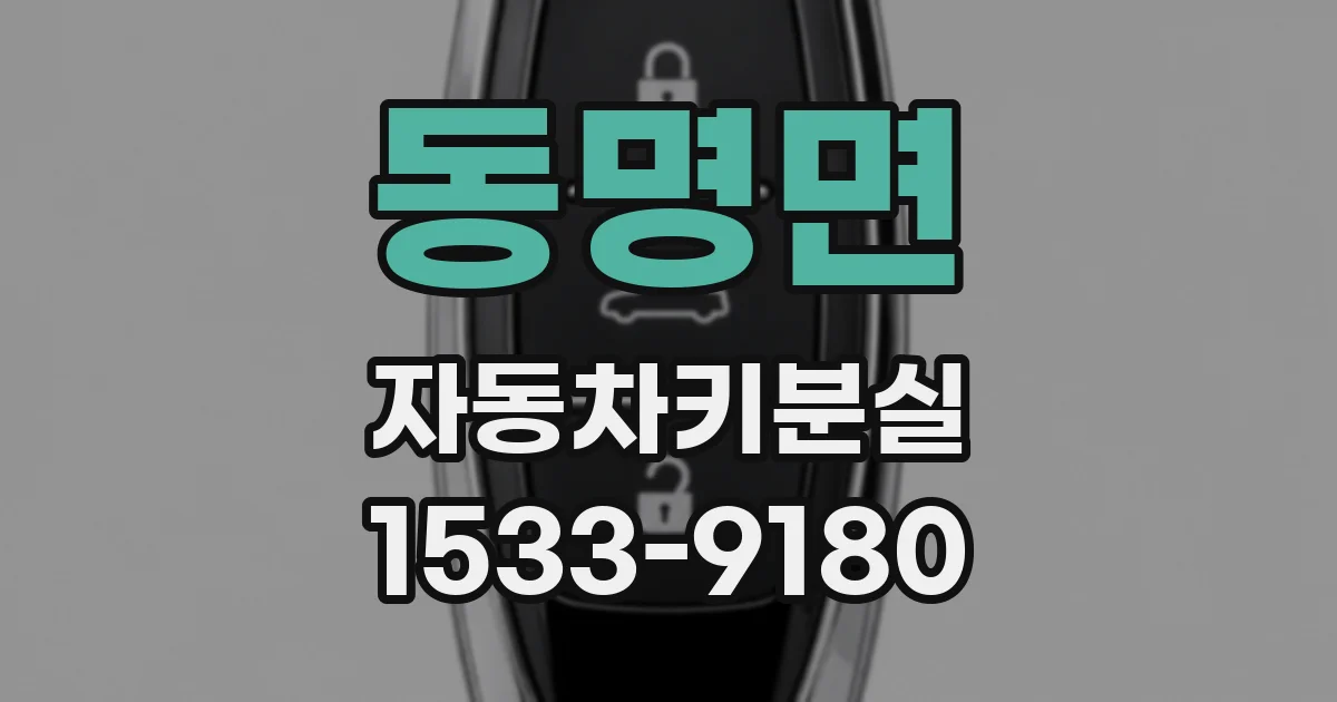 동명면 자동차키분실
