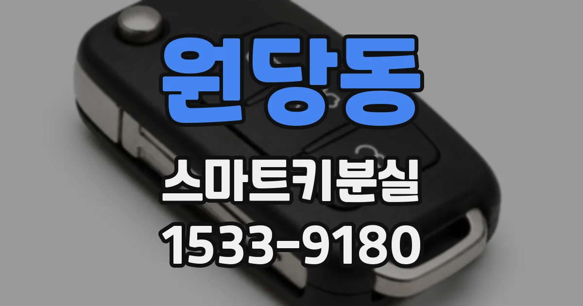 원당동 스마트키분실