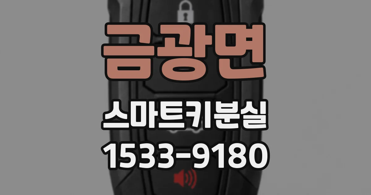 금광면 스마트키분실