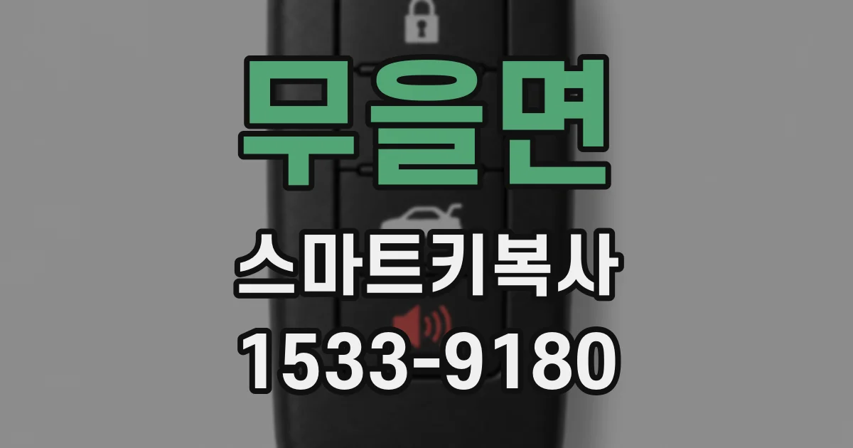 무을면 스마트키복사