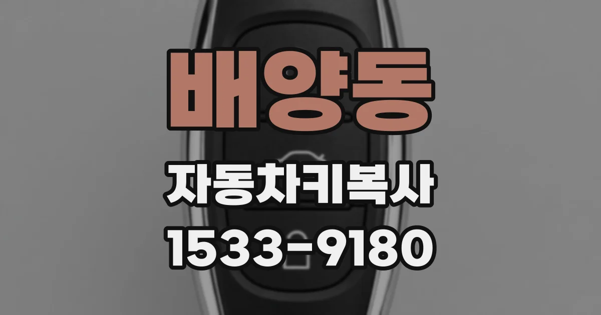 배양동 자동차키복사