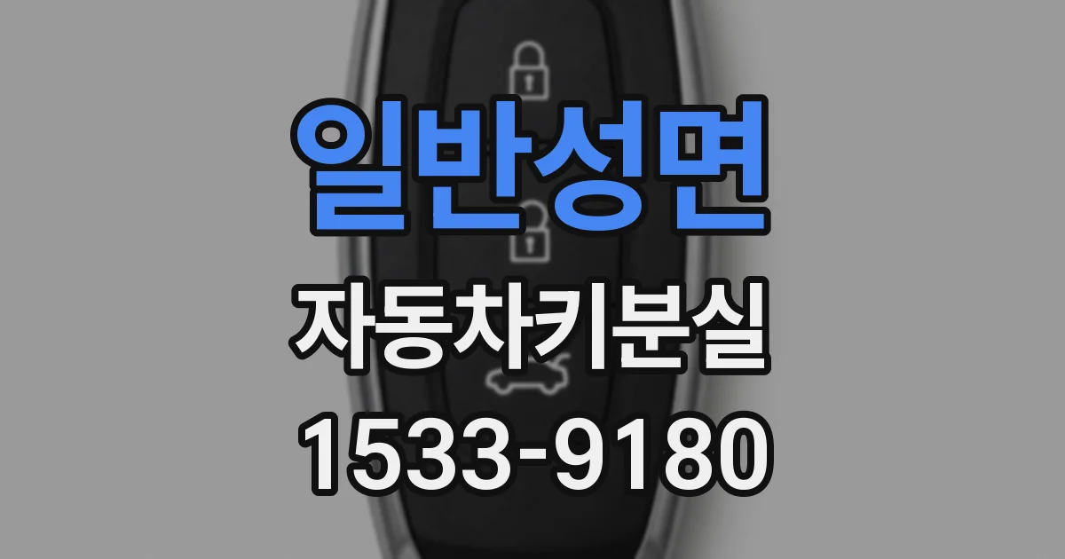 일반성면 자동차키분실
