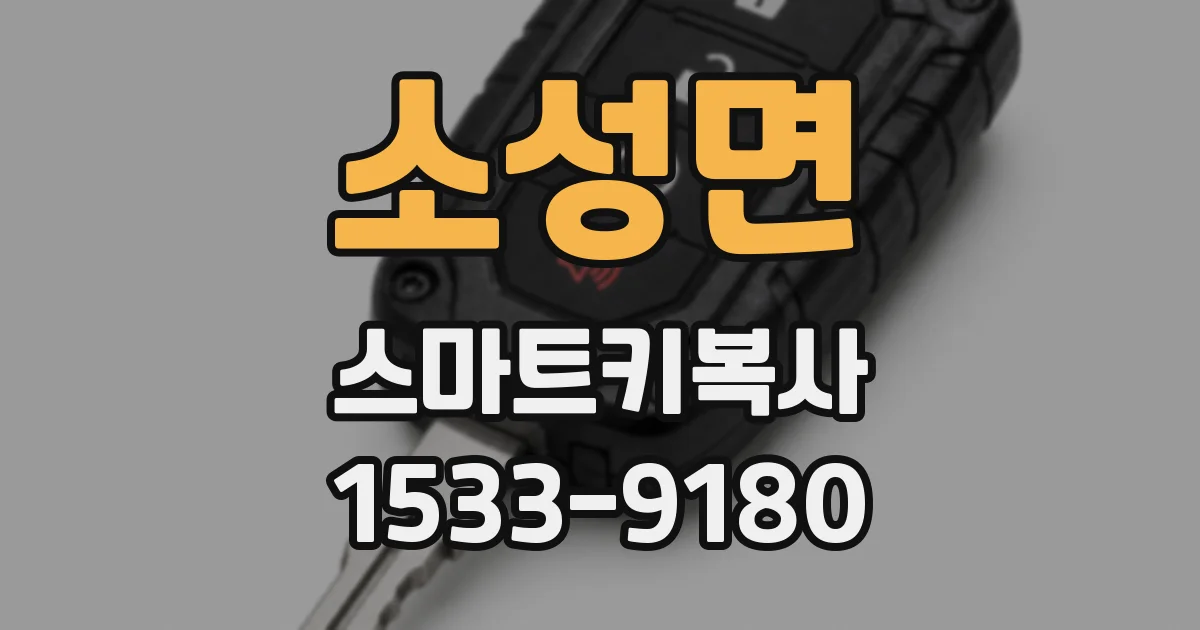 소성면 스마트키복사